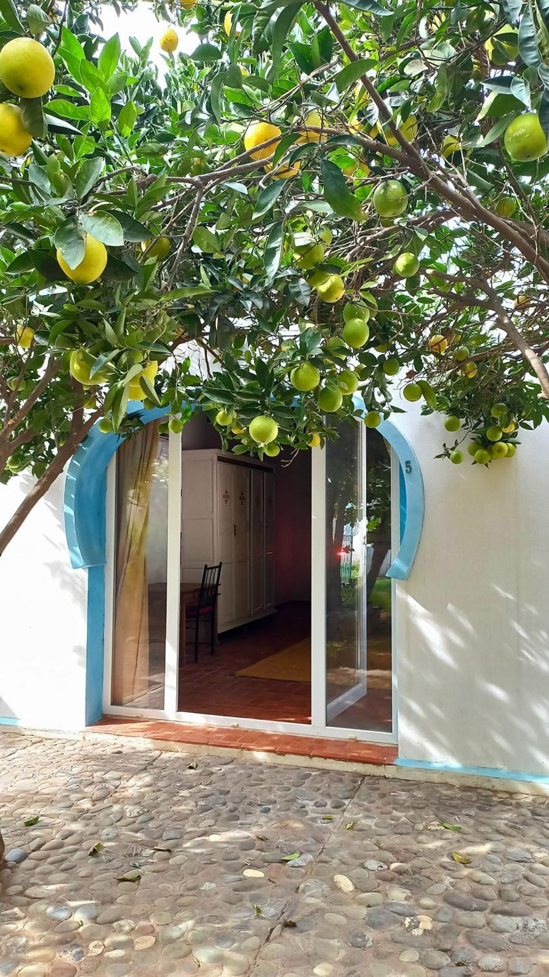 Rayani Maison D'Hotes Chozas Εξωτερικό φωτογραφία